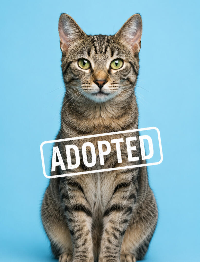 Maximus Max, adopted